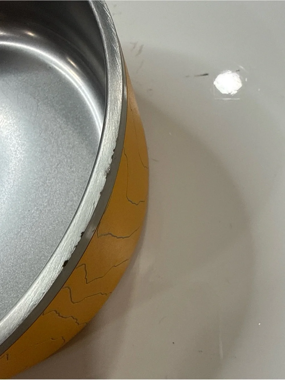 Wilderdog yellow stainless